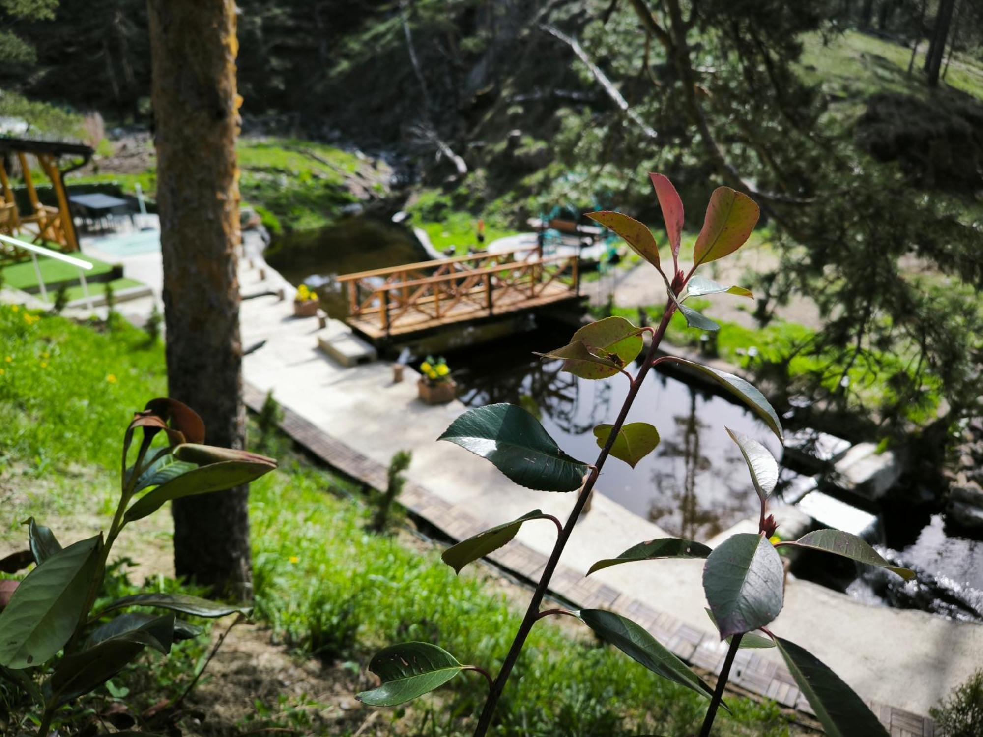 Vila Pogled Wellness I Spa Divčibare Esterno foto
